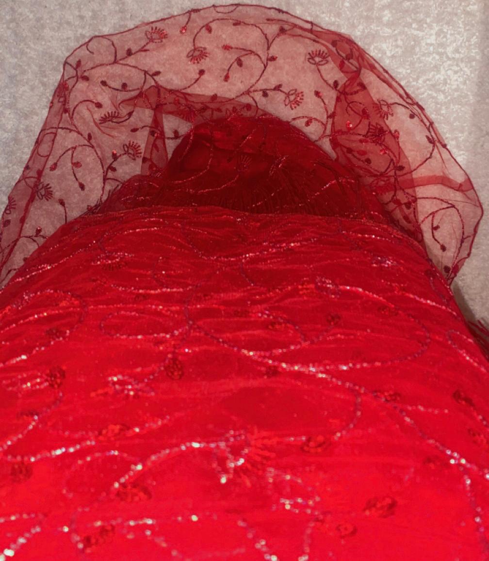 Laal Rang- Scarlet Revolution